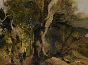 Forest Study