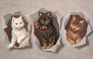 Cat Postcard by Josef Sperlich