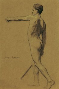 Standing Male Nude