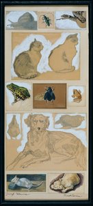 Animal Studies (12 Sketches) by Josef Wawra
