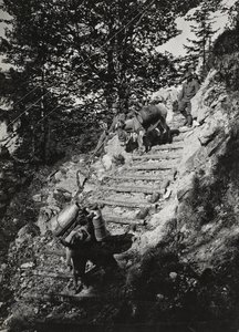Album "Meine weltkriegs - Erinnerungen South-West Front (Carinthia, Italy, South Tyrol) 31/03/1915-12/11/1918 - Josef Zohles Wien": Army mules along a steep descent