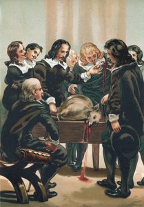 William Harvey Demonstrating the Circulation of the Blood by Josep or Jose Planella Coromina
