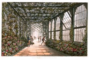 Corridor of a Conservatory, 1808 by Joseph Constantine Stadler