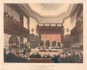 Court of Common Pleas, Westminster Hall by Joseph Constantine Stadler