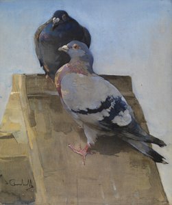 Pigeons on the Roof by Joseph Crawhall