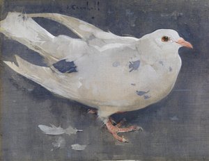 The Pigeon by Joseph Crawhall