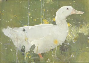 The White Drake by Joseph Crawhall