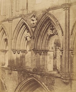 Rivaulx Abbey. The Triforium Arches