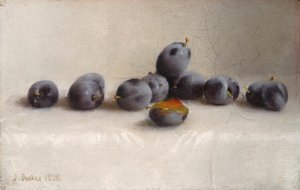 Twelve Plums