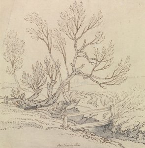 Footbridge Over a Stream Near a Willow Tree by Joseph Farington