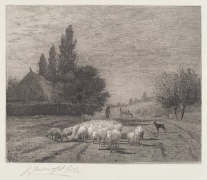 Village Street in France with a Flock of Sheep