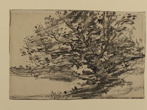 Study of Trees, 1870