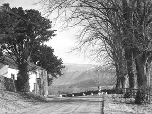 A woman on a lane with chickens, buildings to the left and hills in background