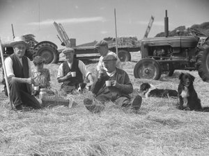 Farmworkers relaxing in hayfield with dogs and tractors in background