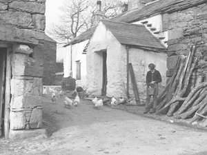 Land Girl Feeding Poultry at a Farm in the Duddon Fells