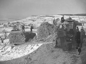 Workers threshing stacks near Bampton