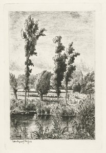 Trees by a Ditch