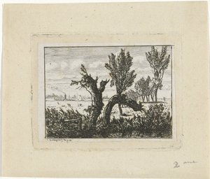 Landscape with Pollard Willows