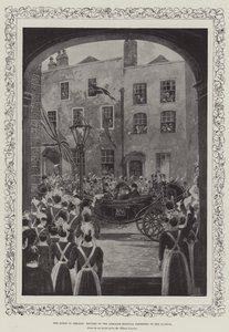 The Queen in Ireland, Doctors of the Adelaide Hospital Presented to Her Majesty by Joseph Holland Tringham