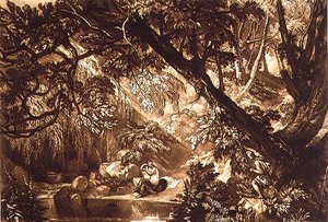 Aesacus and Hesperie (from the 