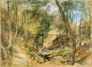 The Woodwalk, Farnley Hall
