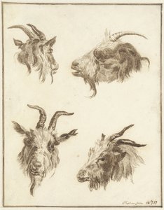 Four Studies of Goat Heads