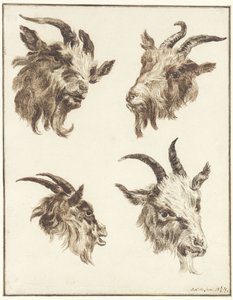 Four Studies of Goat Heads