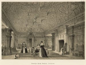 Drawing Room, Dorfold, Cheshire by Joseph Nash