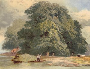 Group of Elms on the Thames by Joseph Needham