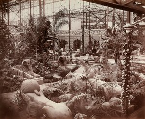 The Crystal Palace in London: the tropical section, c.1870