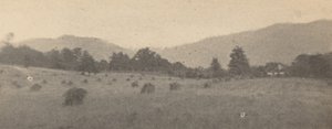 Landscape with Trees and Mountains
