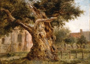 The Old Oak