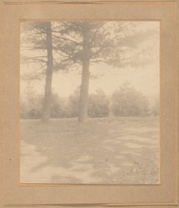 Landscape with Trees, c. 1900 by Joseph Turner Keiley
