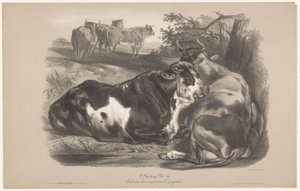Five Cows in a Meadow by Joseph Zephyris Gengembre