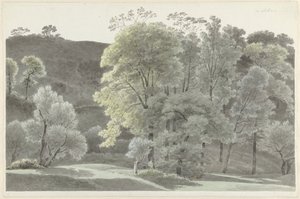 Trees in the Vicinity of Subiaco