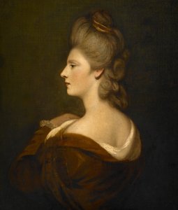 Portrait of a Woman Presumed to be Mrs. James Fox by Joshua Reynolds