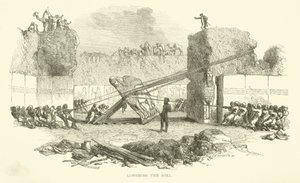 Lowering the bull by Josiah Wood Whymper