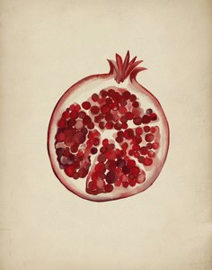 Juicy Red Pomegranate by Josie George
