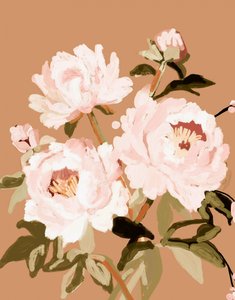 Soft Pink Peonies by Josie George