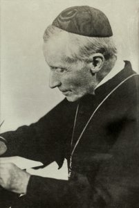 Portrait of American Cardinal James Gibbons by Josse Photo