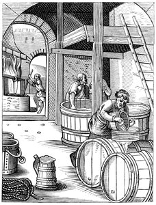 Brewer