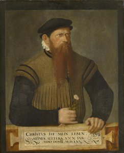 Portrait of a Bearded Man by Jost Amman