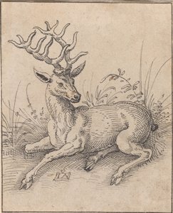 The Stag