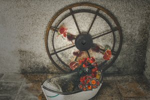 Flowers for the Mariners, from the series Chapelle du Canal by Joy Lions