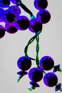Purple Prayer Beads, from the series Misbaha by Joy Lions