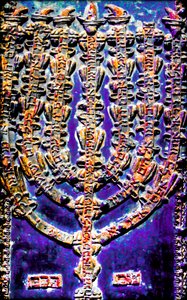 The Rema Torah Ark by Joy Lions