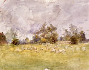 Animals in the Wild