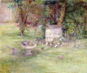 Birdbath in a Yard