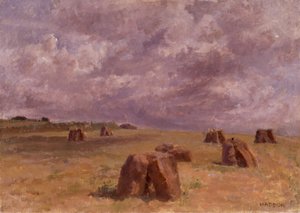 Plain Rocks