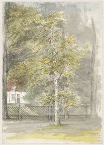 Tree in Front of a Country House Gate